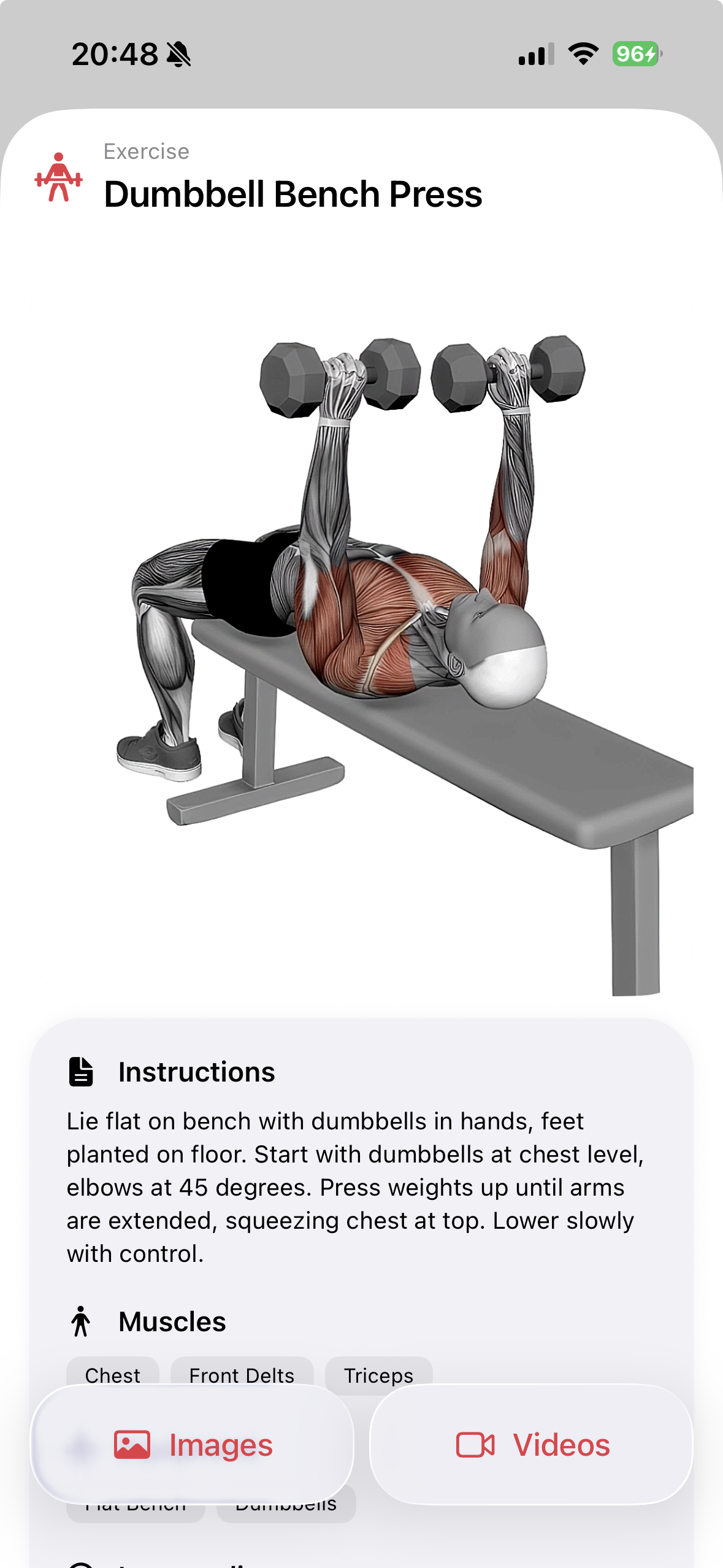 ChattyFit exercise instructions with anatomy